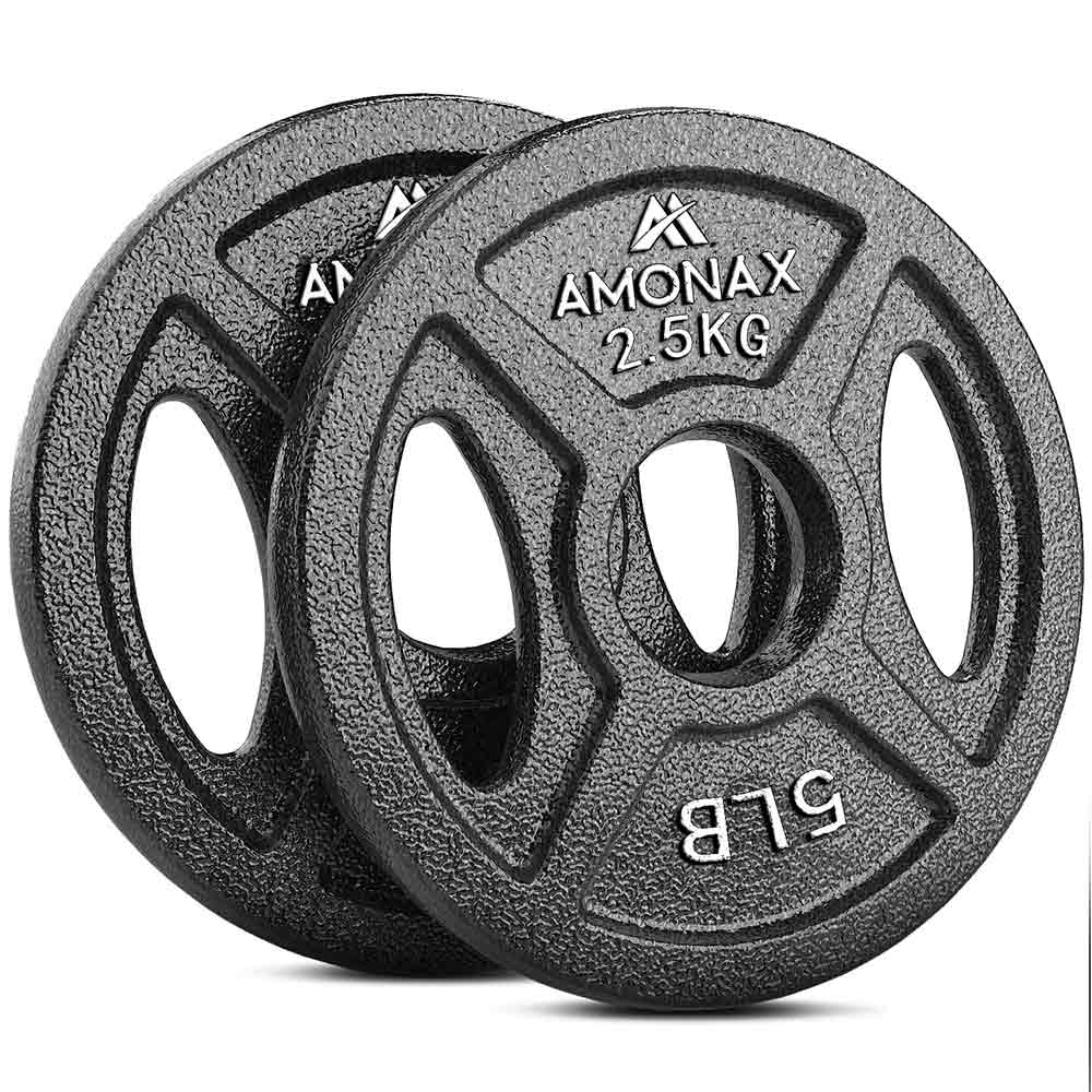 2 Inch cast iron weight plates set