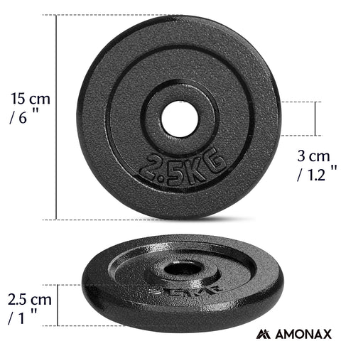 2.5 kg plates cast iron weight set