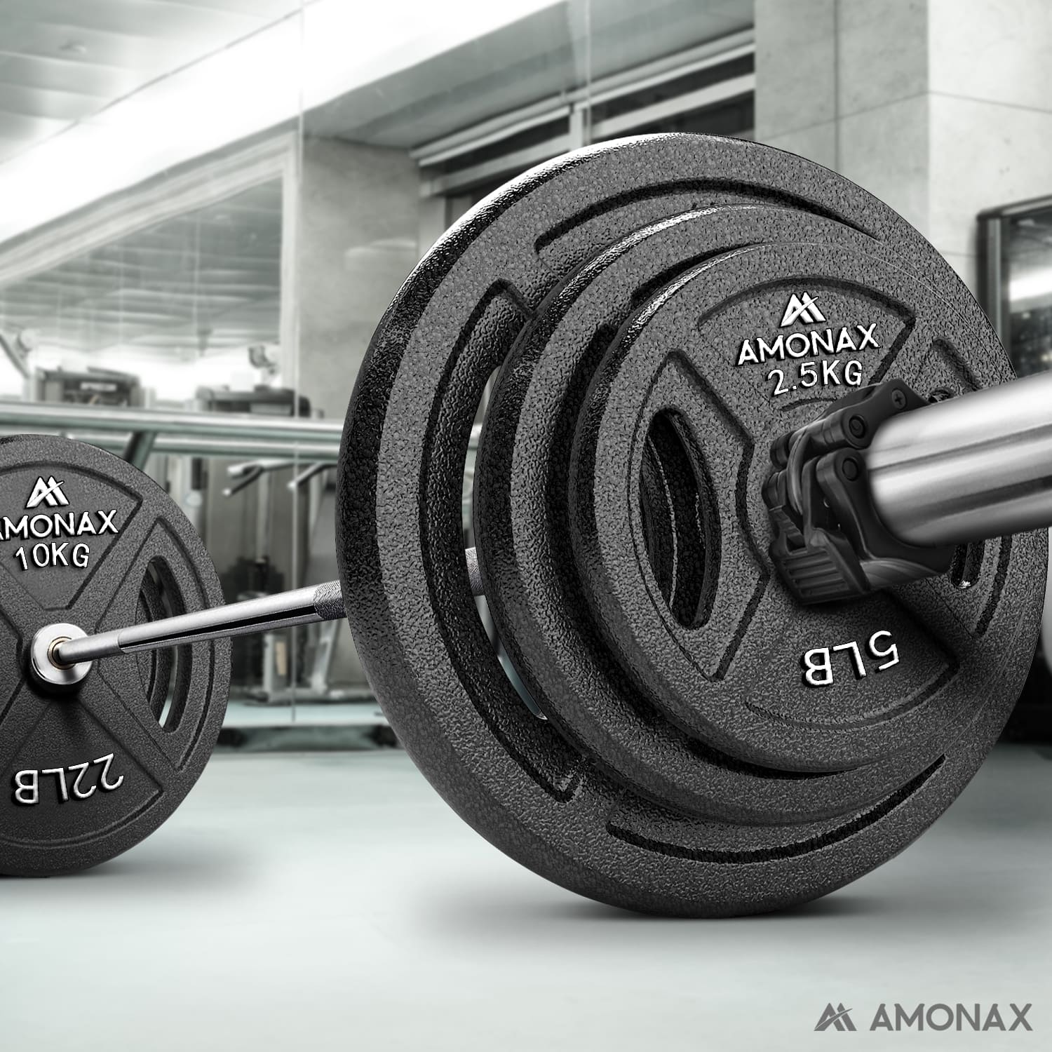 2 inch weight plates