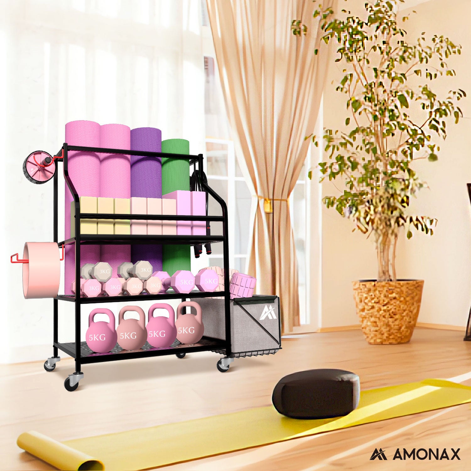 gym equipment storage