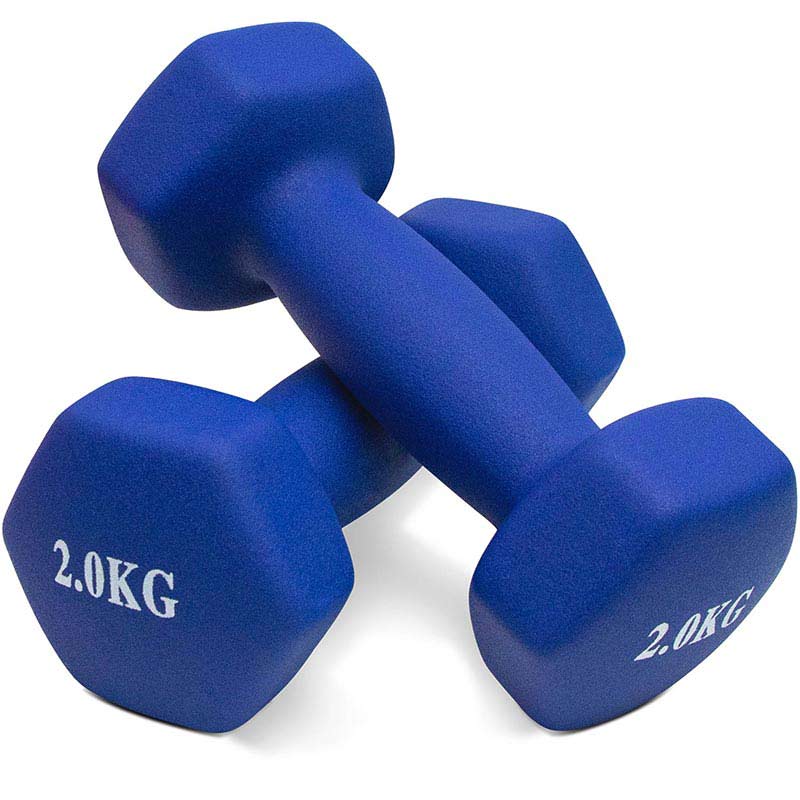2kg free weights dumbbells set online (4kg weights)